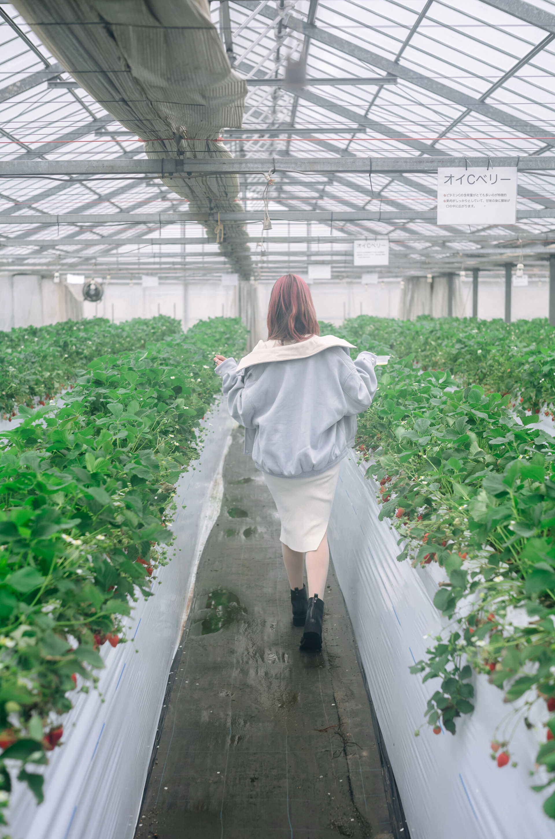 ElyEE子 – NO.205 Strawberry Picking Date 3